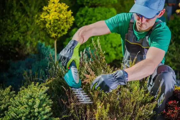 landscaping services Amberley